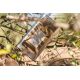Huile d'Olive Vierge Extra BIO
