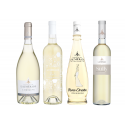 Assortiment Découverte - Blancs